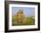 Ruins of Whitby Abbey in North Yorkshire-Paul Thompson-Framed Photographic Print