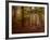 Ruins Portal-Irene Suchocki-Framed Photographic Print