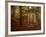 Ruins Portal-Irene Suchocki-Framed Photographic Print