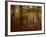 Ruins Portal-Irene Suchocki-Framed Photographic Print