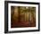 Ruins Portal-Irene Suchocki-Framed Photographic Print