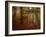 Ruins Portal-Irene Suchocki-Framed Photographic Print