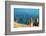 Ruins Underwater of Roman Houses, Les Aiguilles, Tabarka, Tunisia, North Africa-Nico Tondini-Framed Photographic Print