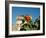 Ruins with Orange Flowers, Tulum, Mexico-Lisa S. Engelbrecht-Framed Photographic Print