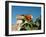 Ruins with Orange Flowers, Tulum, Mexico-Lisa S. Engelbrecht-Framed Photographic Print