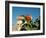 Ruins with Orange Flowers, Tulum, Mexico-Lisa S. Engelbrecht-Framed Photographic Print