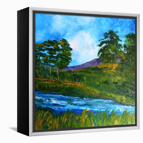 Ruisseau Pres De Marmelade, 2016-Patricia Brintle-Framed Premier Image Canvas