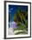 Rum Point, Grand Cayman, Cayman Islands, Caribbean Sea, West Indies-Ruth Tomlinson-Framed Photographic Print