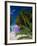 Rum Point, Grand Cayman, Cayman Islands, Caribbean Sea, West Indies-Ruth Tomlinson-Framed Photographic Print