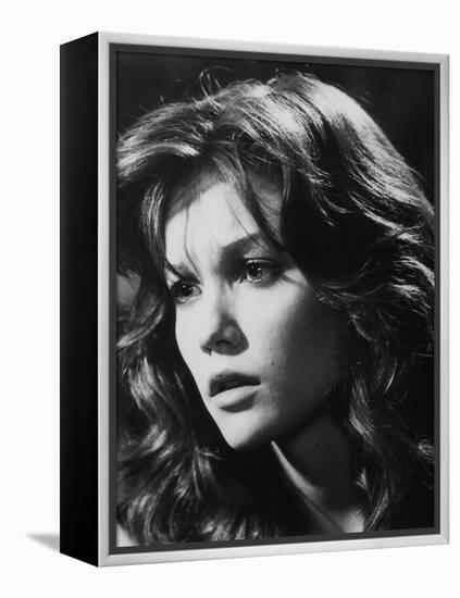 RUMBLE FISH, 1983 directed by FRANCIS FORD COPPOLA Diane Lane (b/w photo)-null-Framed Stretched Canvas