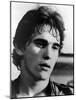 RUMBLE FISH, 1983 directed by FRANCIS FORD COPPOLA Matt Dillon (b/w photo)-null-Mounted Photo