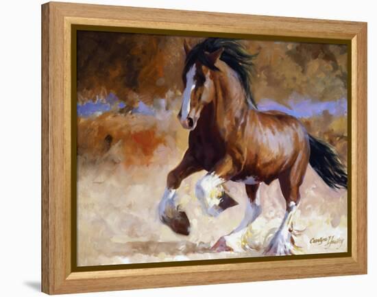 Rumi's Run-Carolyne Hawley-Framed Stretched Canvas