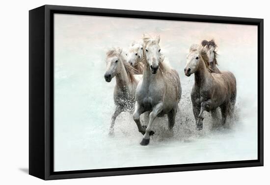 Run and Splash-Merrie Asimow-Framed Premier Image Canvas