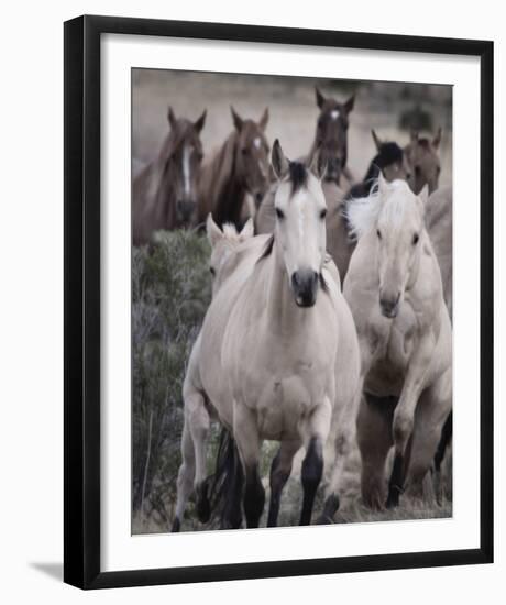 Run Free-Chris Dunker-Framed Giclee Print