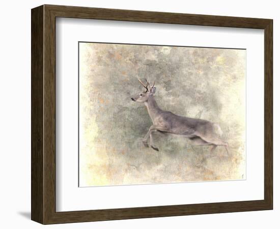 Run Like the Wind White Tailed Buck-Jai Johnson-Framed Giclee Print