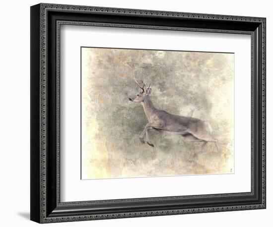 Run Like the Wind White Tailed Buck-Jai Johnson-Framed Giclee Print