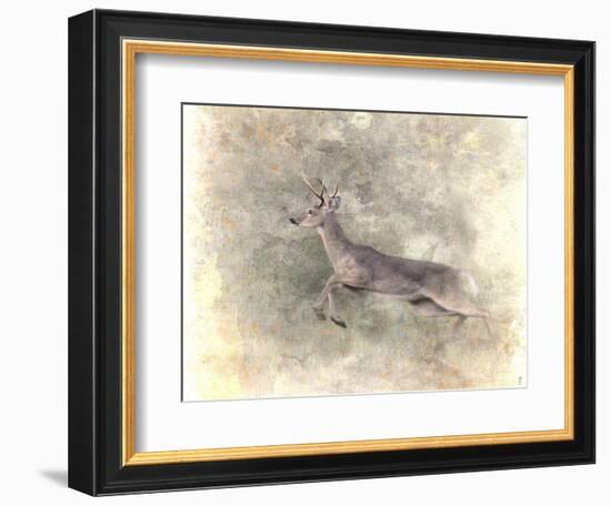 Run Like the Wind White Tailed Buck-Jai Johnson-Framed Giclee Print