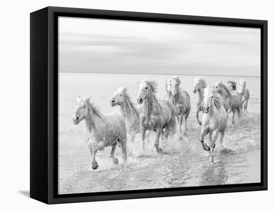 Run on the water-Marco Carmassi-Framed Premier Image Canvas