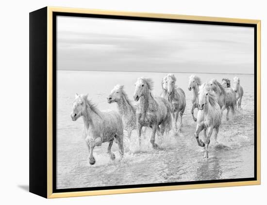 Run on the water-Marco Carmassi-Framed Premier Image Canvas