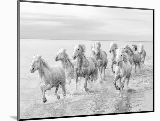 Run on the water-Marco Carmassi-Mounted Photographic Print