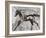 Run Pony-Jodi Maas-Framed Giclee Print