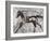 Run Pony-Jodi Maas-Framed Giclee Print