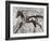 Run Pony-Jodi Maas-Framed Giclee Print