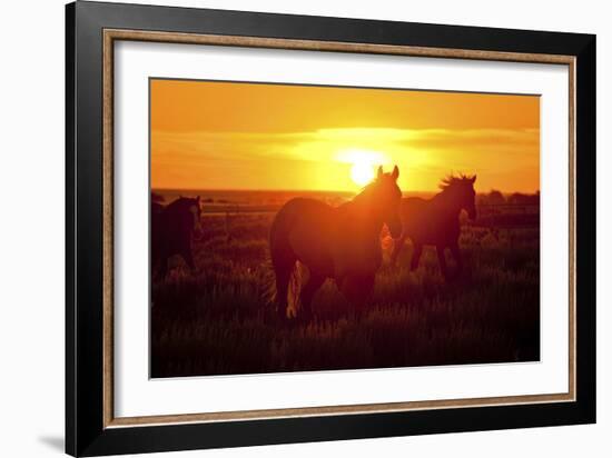 Run-Dan Ballard-Framed Photographic Print