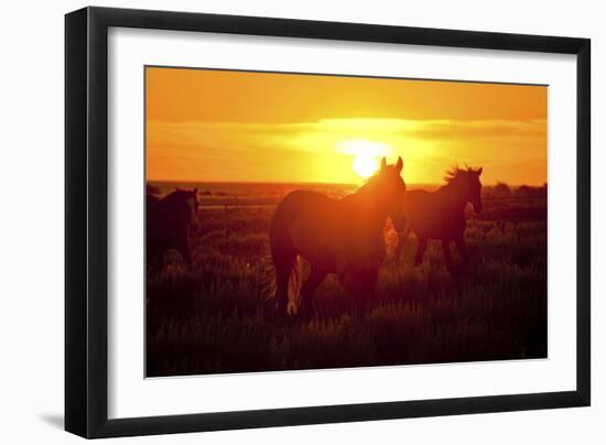 Run-Dan Ballard-Framed Photographic Print