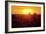 Run-Dan Ballard-Framed Photographic Print