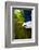 Run-Steve Gadomski-Framed Photographic Print