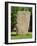 Rune Stone in Grounds of Uppsala Cathedral, Sweden, Scandinavia, Europe-Richard Ashworth-Framed Photographic Print