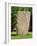 Rune Stone in Grounds of Uppsala Cathedral, Sweden, Scandinavia, Europe-Richard Ashworth-Framed Photographic Print