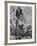 Runner Gunhild Larking Relaxing at the Olympics-null-Framed Premium Photographic Print