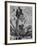 Runner Gunhild Larking Relaxing at the Olympics-null-Framed Premium Photographic Print