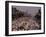 Runner on 4th Avenue in Brooklyn During the 1990 New York City Marathon-null-Framed Photographic Print