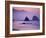 Runner on The Beach, Cannon Beach, Oregon, USA-Gavriel Jecan-Framed Photographic Print