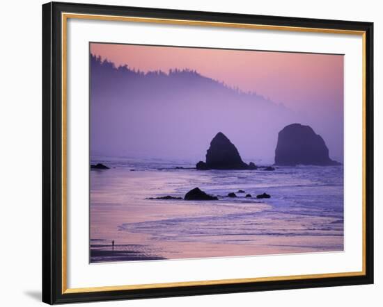 Runner on The Beach, Cannon Beach, Oregon, USA-Gavriel Jecan-Framed Photographic Print