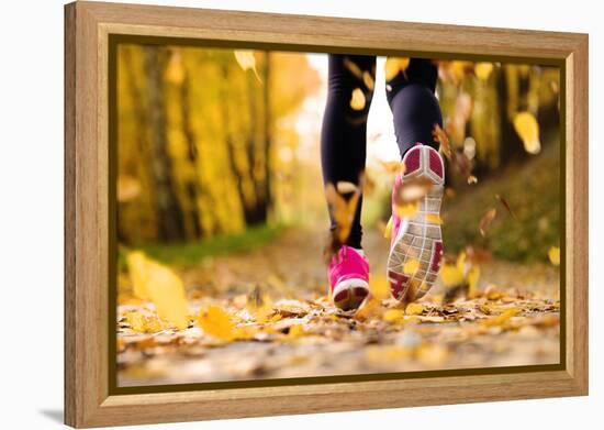 Runner-HalfPoint-Framed Premier Image Canvas