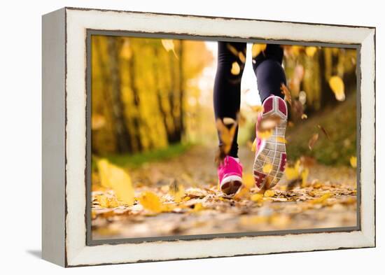 Runner-HalfPoint-Framed Premier Image Canvas