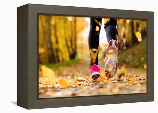 Runner-HalfPoint-Framed Premier Image Canvas