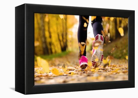 Runner-HalfPoint-Framed Premier Image Canvas