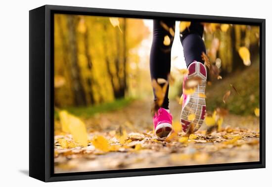 Runner-HalfPoint-Framed Premier Image Canvas