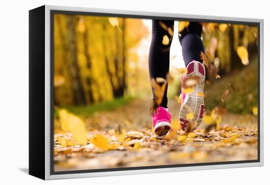 Runner-HalfPoint-Framed Premier Image Canvas