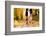 Runner-HalfPoint-Framed Photographic Print