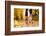 Runner-HalfPoint-Framed Photographic Print