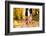 Runner-HalfPoint-Framed Photographic Print