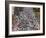 Runners Competing on First Avenue During 2009 New York City Marathon-null-Framed Photographic Print