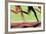 Runners Legs in Motion (Blurred Motion)-Peter Skinner-Framed Photographic Print