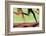 Runners Legs in Motion (Blurred Motion)-Peter Skinner-Framed Photographic Print